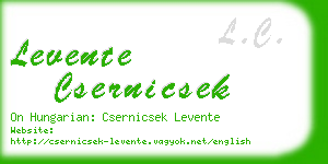 levente csernicsek business card